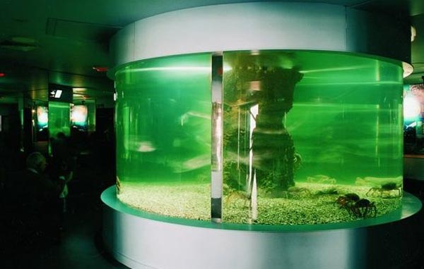 Aquariums
